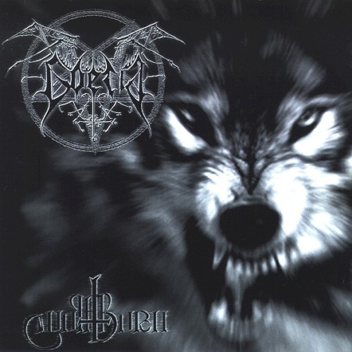 Wolfthorn