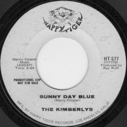 Sunny Day Blue