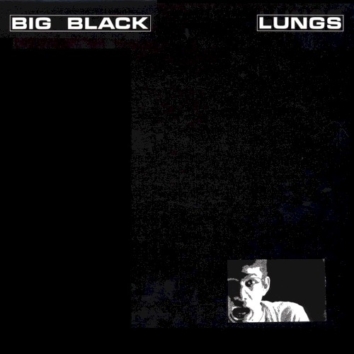 Lungs