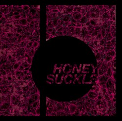 Honeysuckle