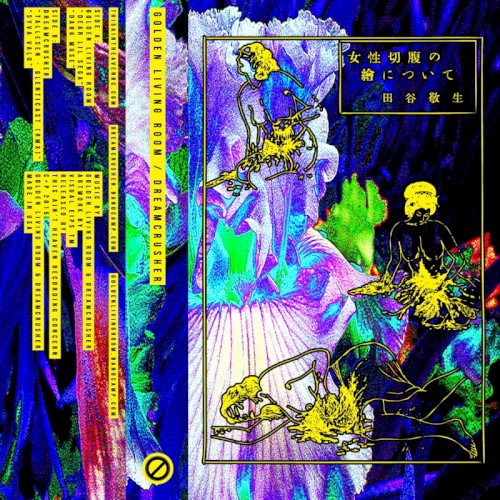 SPLIT CASSETTE