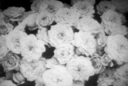 Kerosene (Valy Mo ††‡† rmx)