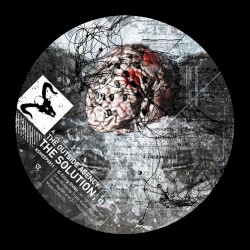 The Solution / Wait Your Turn