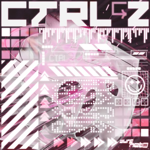 CTRL Z