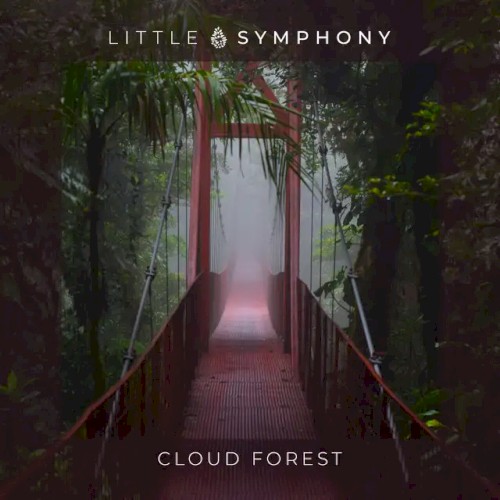 Cloud Forest