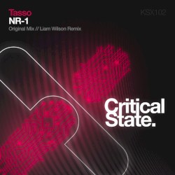 NR-1