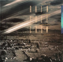 Rain Tree Crow