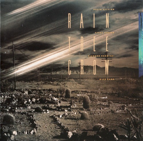 Rain Tree Crow