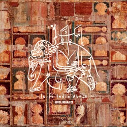 Lo-Fi India Abuse