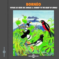Bornéo : Voyage au cœur des jungles / A Journey to the Heart of Jungle