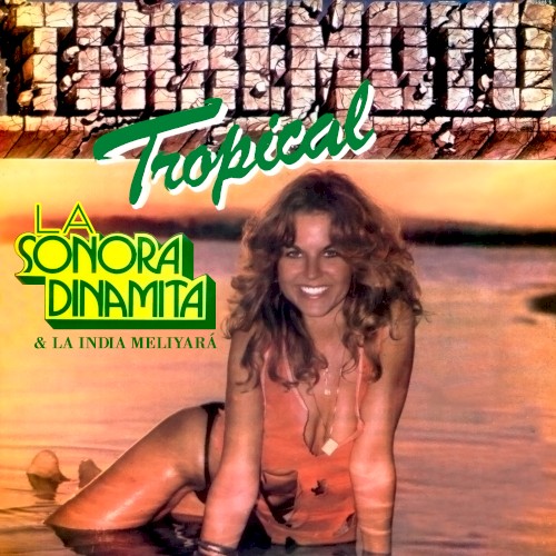 Terremoto tropical