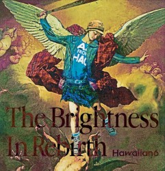 The Brightness In Rebirth