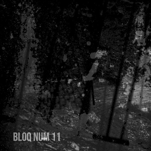 Bloq Num 11