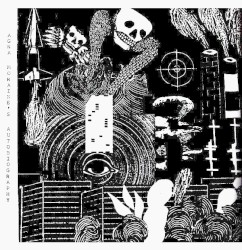 Chapter Two: The Recalcitrant Memory of...