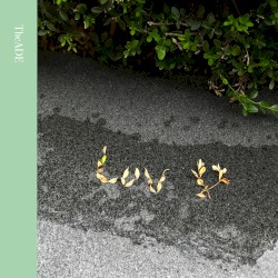 Luv U (re:cord)