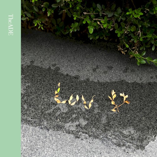 Luv U (re:cord)