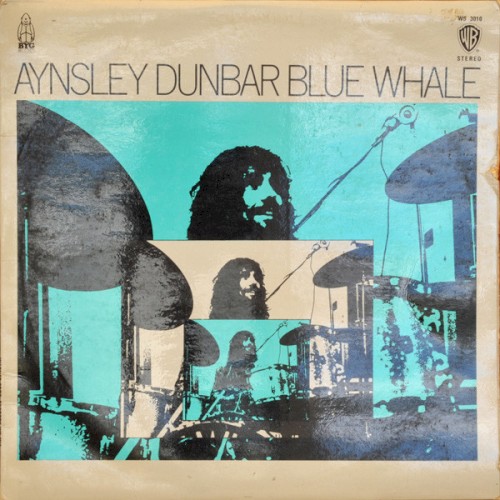 Blue Whale