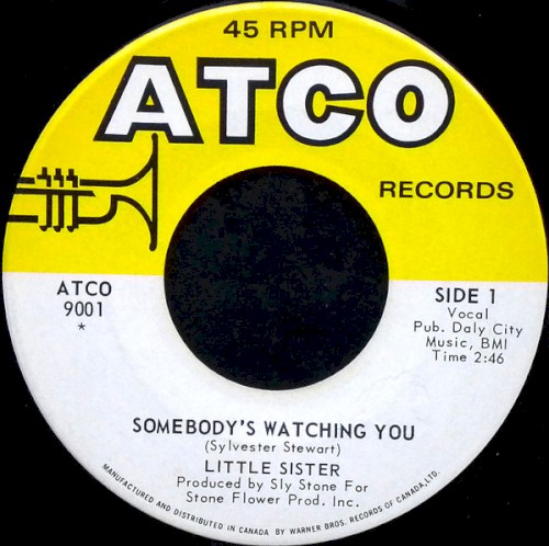 Stanga / Somebody's Watching You