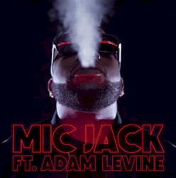 Mic Jack