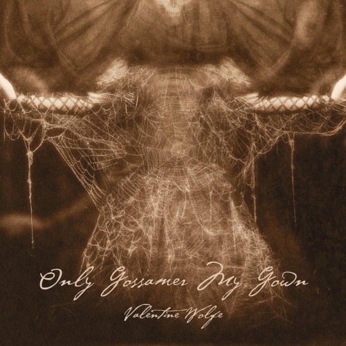 Only Gossamer My Gown