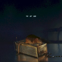 The Rat Road