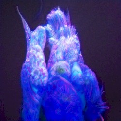 cylces 3