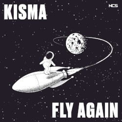 Fly Again