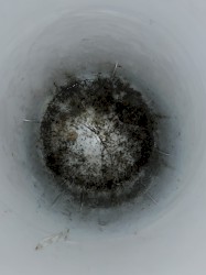 Freeroam 34 :: Day 12 of the Happening Situation -- "Logically, Everything Should Still Be Fine, but Nonetheless I Am Suddenly Incredibly Unwell (But Here's a Recap of the Recents Anyway)"