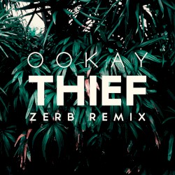 Thief (Zerb remix)