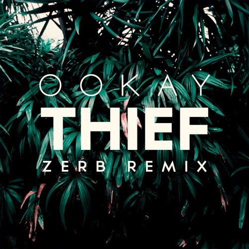 Thief (Zerb remix)