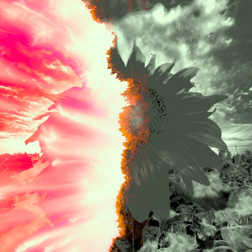 Brutal Illumination