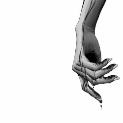 Notes From a Wrist