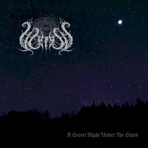 A Secret Night Under the Stars