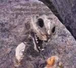 Shipwreck Radio, Volume One: Seven Sonic Structures From Utvær
