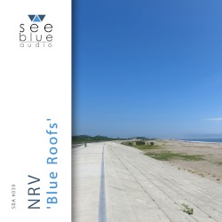 Blue Roofs