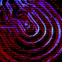 hypnotica