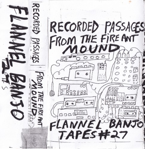 Recorded Passages From The Fire Ant Mound