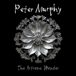 The Artroom Wonder