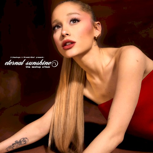 eternal sunshine: the mashup album