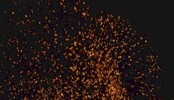 Ember
