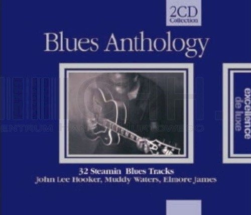 Blues Anthology - 32 Steamin’ Blues Tracks