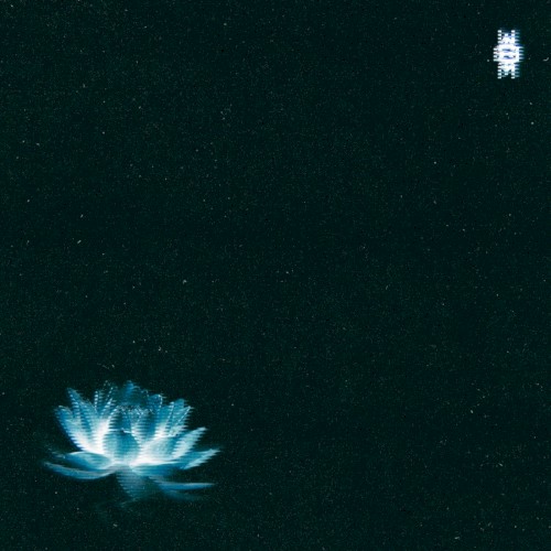 Loto Azul