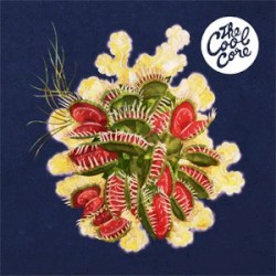 The Cool Core