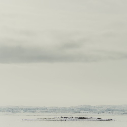 Winter Landscape