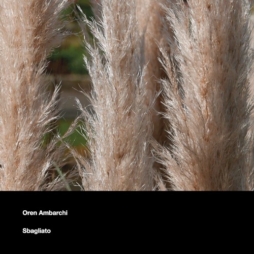 Sbagliato (demo)
