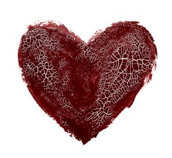 Resolutions XV Part 1