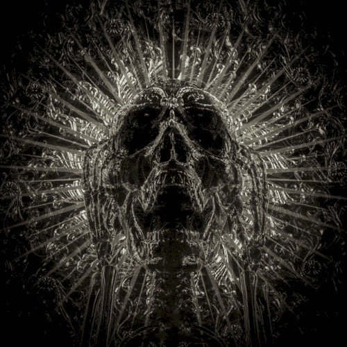 Dead n Gone