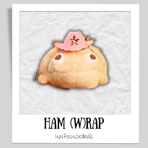 Ham (w)Rap