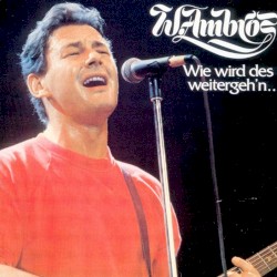 Wie wird des weitergeh’n…