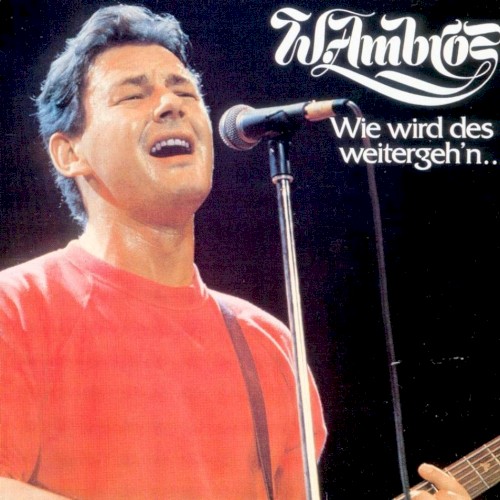 Wie wird des weitergeh’n…